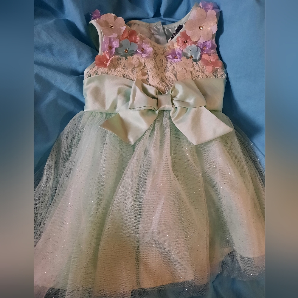 Rare Edition  girls dress